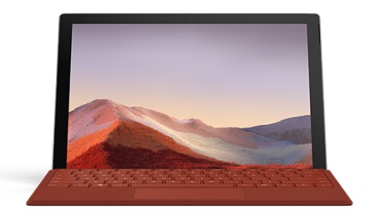 临渭清洁和维护 Surface